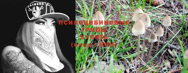 прущий лед Балахна