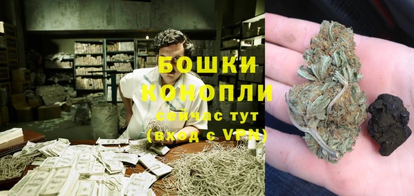 гидра Баксан