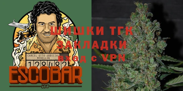 индика Аркадак
